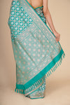 Banarasi Katan Silk Borjaal Saree